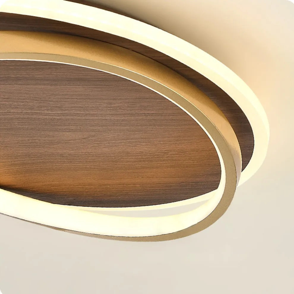 Close - up of Round Ceiling Light-2
