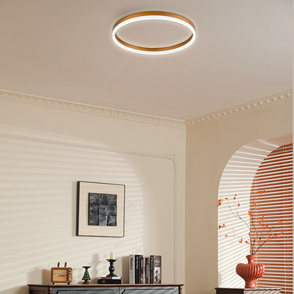 Modern Black/Gold/White Ceiling Light Metal Ring Bedroom