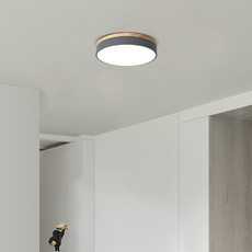 Nordic Gray  Ceiling Light Round Living Room