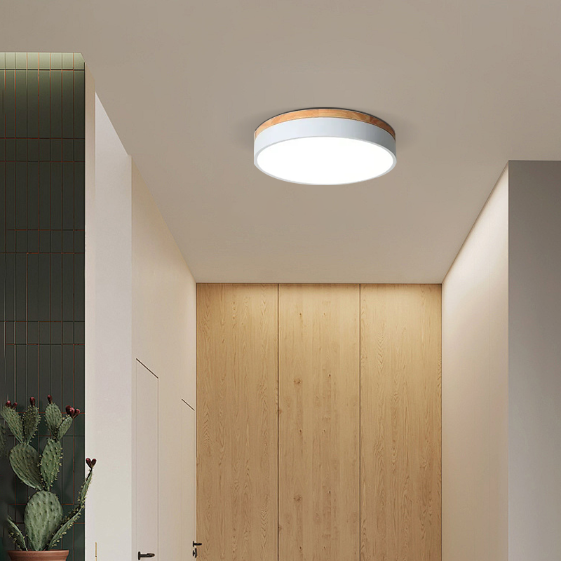 Nordic White Ceiling Light Round Entrance