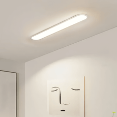 Minimalist White Oval - shaped Ceiling Light  Passage