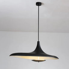 Modern Black Pendant Light Irregular 