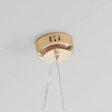 Modern Gold Ceiling Light Dandelion Plate Detail