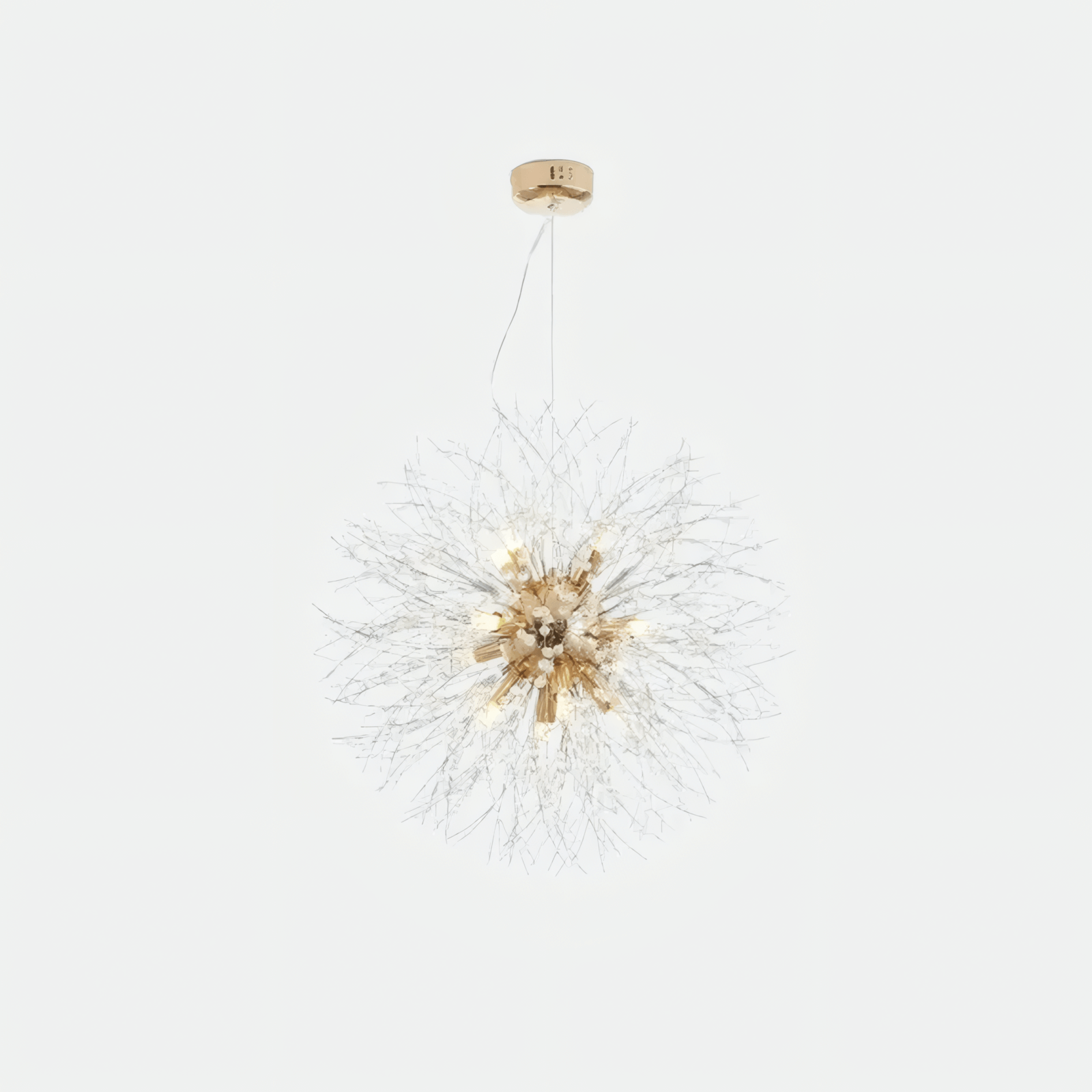 Modern Pendant Light Dandelion